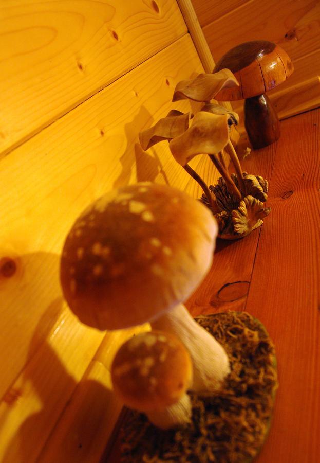 Chalet House Olga Crni Lug Camera foto